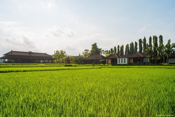 Hotel The Chedi Club Tanah Gajah